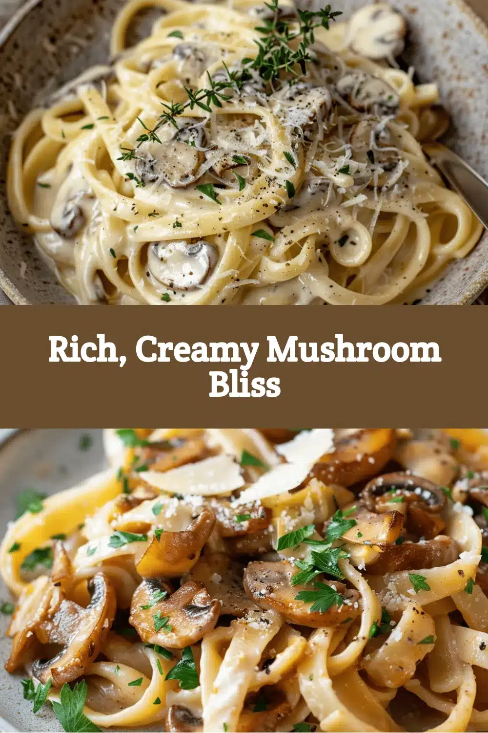creamy oyster mushroom pasta recipe