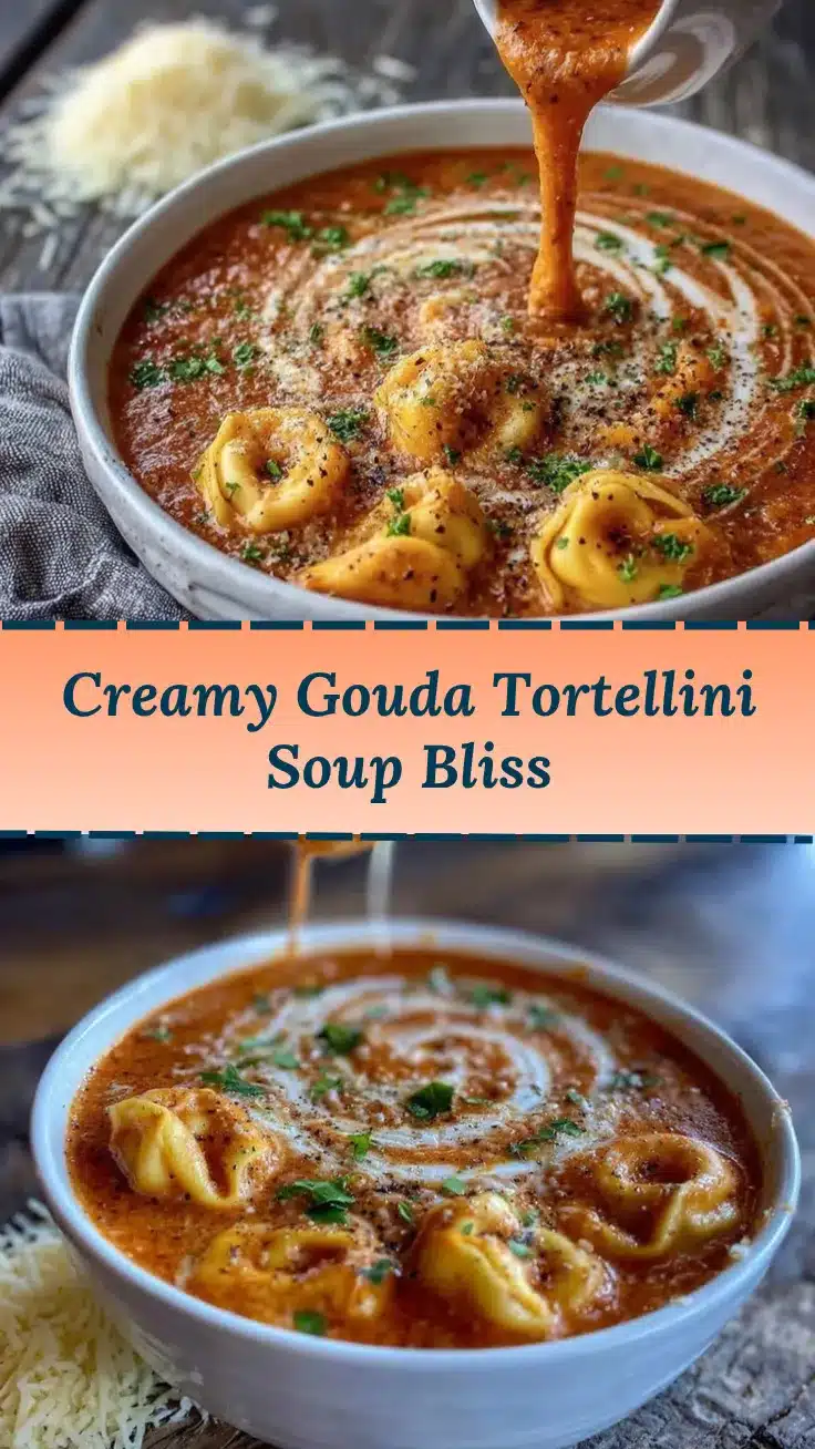 creamy roasted red pepper gouda tortellini soup recipe