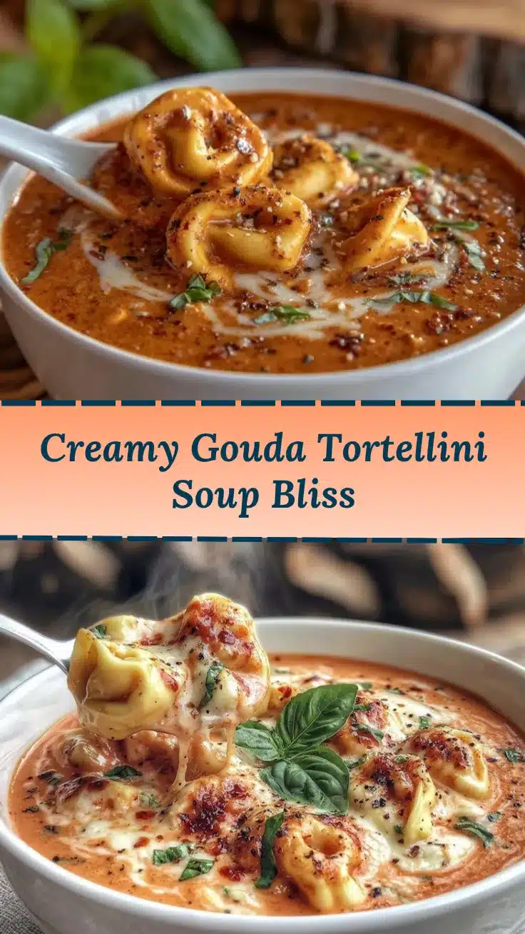 creamy tortellini soup recipe