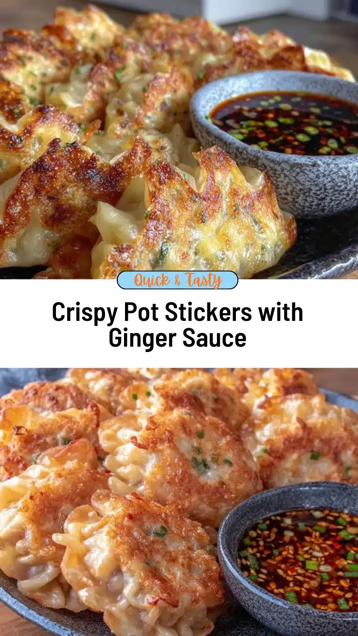 crispy pot stickers recipe recipe
