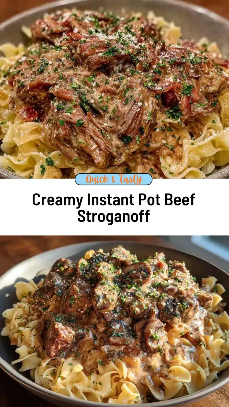 Instant Pot beef stroganoff recipe